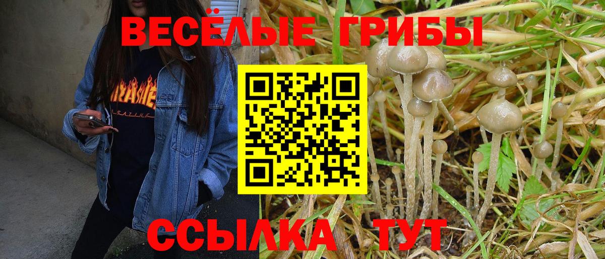Белая Калитва  купить  цена  Вход с VPN  Галлюциногенные грибы мицелий 